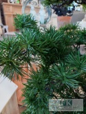 SZTUCZNE DRZEWKO BONSAI 86 CM