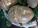 DEKORACJA ŻOŁĄDŹ 16 CM