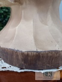FIGURA POPIERSIE JELEŃ Z POROŻAMI 81 cm