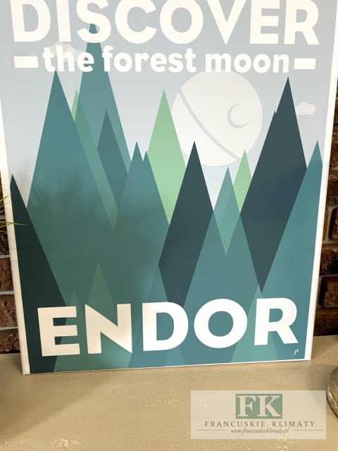 OBRAZ NA PŁÓTNIE,, ENDOR " 60X50