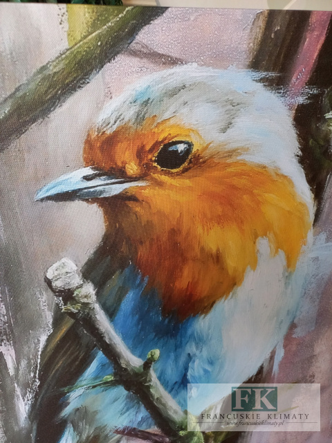 OBRAZ NA PŁÓTNIE PTASZEK 60/60